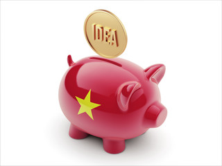 Vietnam Idea Concept Piggy Concept