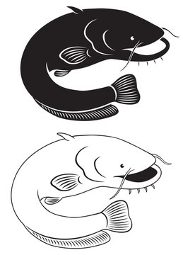 recommend clip art: catfish