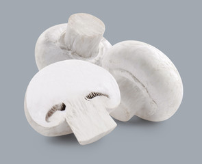 Fototapeta na wymiar Two white mushrooms and slice isolated on grey background