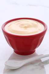 plain french style yogurt