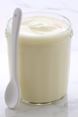 plain french style yogurt