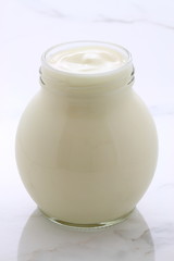 plain french style yogurt