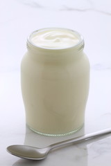 plain french style yogurt