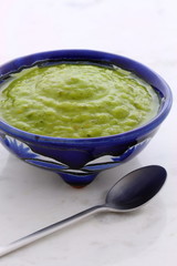 Delicious mexican guacamole dip