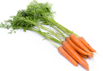 Bunch of fresh carrots with leaves