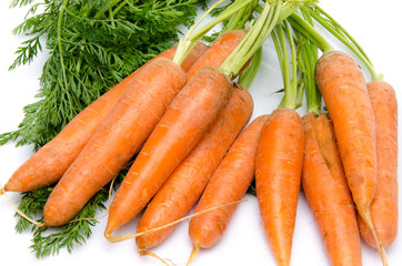 Bunch of fresh carrots with leaves