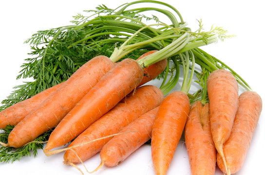 Bunch of fresh carrots with leaves