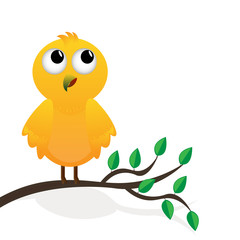 Yellow bird on a branch of a tree