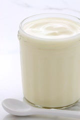 plain french style yogurt