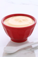 plain french style yogurt