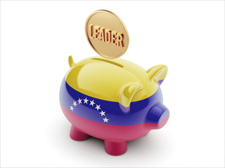 Venezuela  Piggy Concept