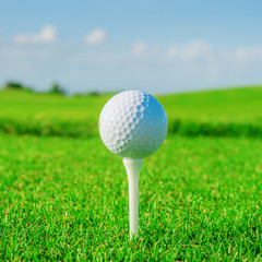 Golf club. Green field and ball in grass