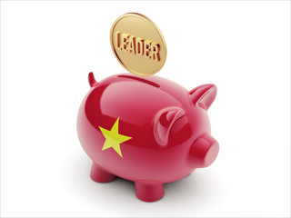 Vietnam  Piggy Concept