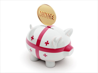 Georgia Manage Concept Piggy Concept