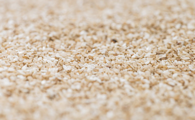 Sesame Background