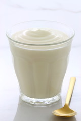 plain french style yogurt