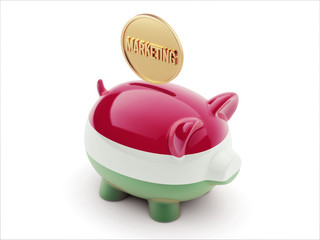 Hungary Marketing Concept Piggy Concept