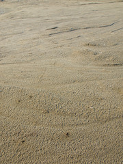 Seamless sand background