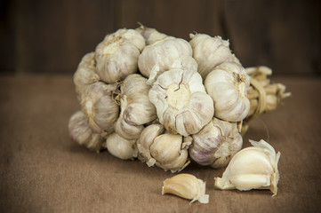 Garlic