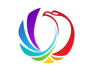 bird,hawk logo,eagle symbol,colorful icon,media modern business