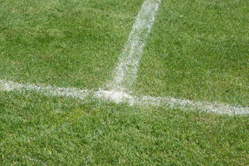 Fußballplatz mit Linienmarkierung