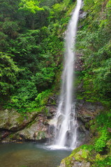 Obraz premium Otaru Falls (100 wyborów japońskich wodospadów)