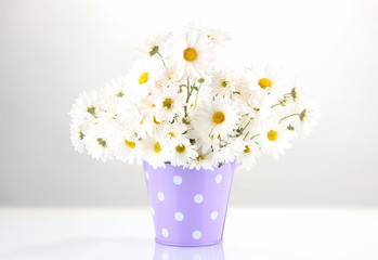 daisies in vase isolated on white