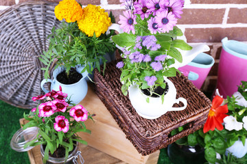 Flowers in  decorative pots and garden tools