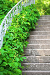 Stair walkway in green park