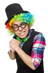 Clown isolated on the white background