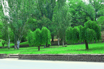 Beautiful park outdoors