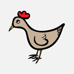 Chicken