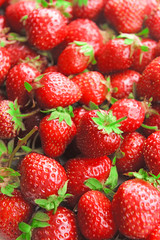Ripe sweet strawberries close-up