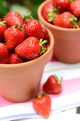 Ripe sweet strawberries in pots on table in garden
