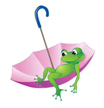 Frog And Umbrella