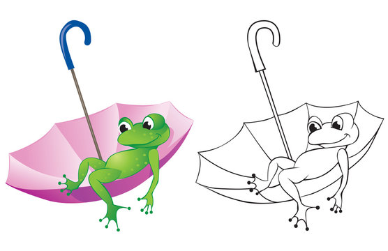 Frog And Umbrella