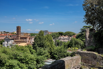 Fototapeta premium Roma