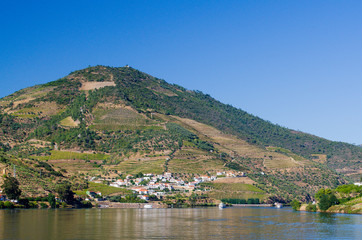 Fototapeta na wymiar Vineyars in Douro Valley