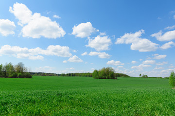 Fototapeta premium landscape with sky