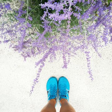 sport blue shoes next to lavender flowers