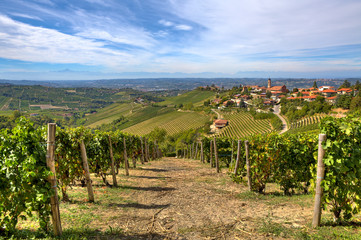 Fototapeta na wymiar Vineyards on the hills and small town in Italy.
