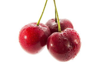 cherry