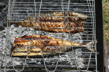 Grilled mackerels on the grill on campfire