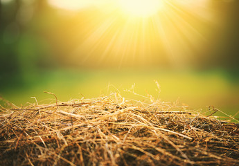 natural summer background. hay and straw in  sunlight - obrazy, fototapety, plakaty