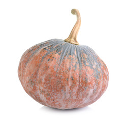 pumpkin isolate on white background