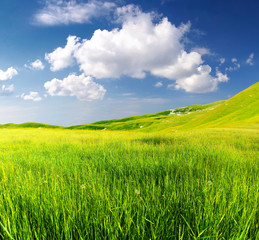 Green field in the mountain valley. Beautiful summer landscape