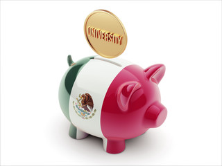 Mexico. University Concept Piggy Concept