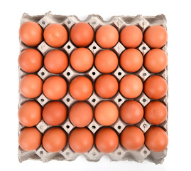 eggs in paper tray