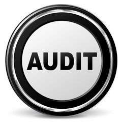 Vector audit icon