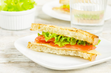 panini sandwiches with salmon, cheese and salad